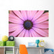 Daisy up and Personal Wall Mural