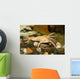 exotic white frog, albino Wall Mural
