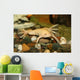 exotic white frog, albino Wall Mural