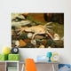 exotic white frog, albino Wall Mural