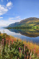Breathtaking Scenic Nature Mountain Wall Decal