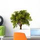 3D Summerl Tree Wall Decal