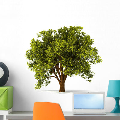3D Summerl Tree Wall Decal shown on a wall
