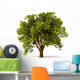 3D Summerl Tree Wall Decal