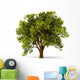 3D Summerl Tree Wall Decal