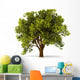 3D Summerl Tree Wall Decal
