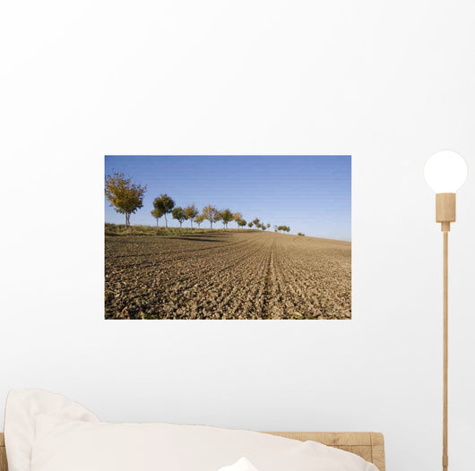 Mecklenburg Erland Wall Decal