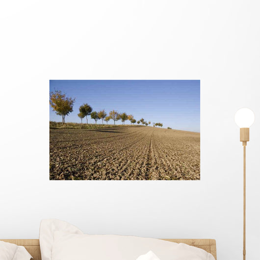 Mecklenburg Erland Wall Decal