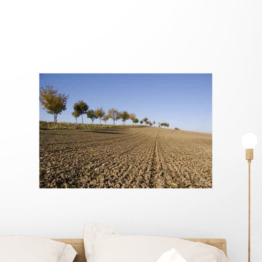 Mecklenburg Erland Wall Decal
