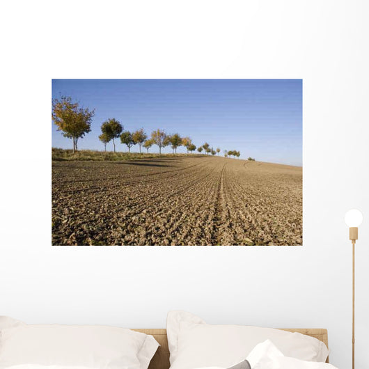 Mecklenburg Erland Wall Decal