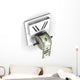 Dollar Toilet Paper Wall Decal