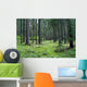 Forest 01 Wall Mural