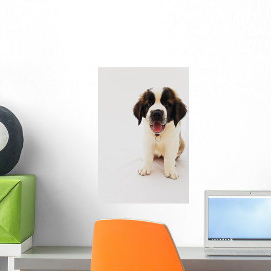 Puppy Saint Bernard Wall Decal