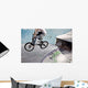 BMX at the skatepark Wall Mural