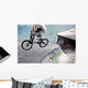 BMX at the skatepark Wall Mural