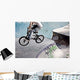 BMX at the skatepark Wall Mural
