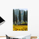 Field Sunflowers and Cypress Wall Decal