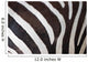 Zebra Wall Mural
