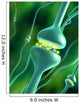 Synapses Wall Mural