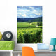 Vineyard and Small Village Wall Decal