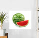 Watermelon White