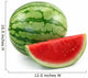 Watermelon White