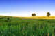 Summer Landscape 3 Wall Decal