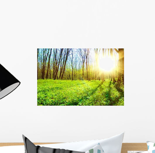 Green Forest Wall Decal