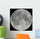 Photo of Moon Lunar Surface Wall Mural