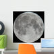Photo of Moon Lunar Surface Wall Mural