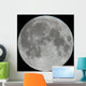 Photo of Moon Lunar Surface Wall Mural