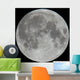 Photo of Moon Lunar Surface Wall Mural