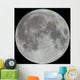 Photo of Moon Lunar Surface Wall Mural