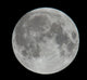 Photo of Moon Lunar Surface Wall Mural
