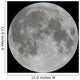 Photo of Moon Lunar Surface Wall Mural