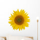 Sunflower Wall Mural