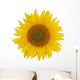 Sunflower Wall Mural