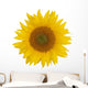Sunflower Wall Mural