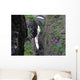Via Mala Gorge Wall Decal