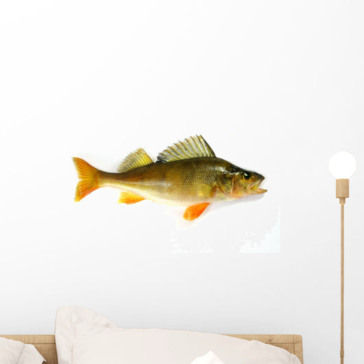 perch Wall Decal