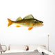 perch Wall Decal