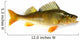 perch Wall Decal
