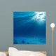 Underwater Light Wall Mural