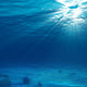 Underwater Light Wall Mural