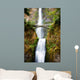 waterfall Wall Mural