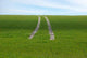 Fahrpur Meadow Wall Decal