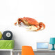 dungeness crab Wall Decal