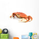 dungeness crab Wall Decal