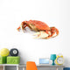 dungeness crab Wall Decal