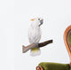 Cockatoo Half Citron Half Wall Decal